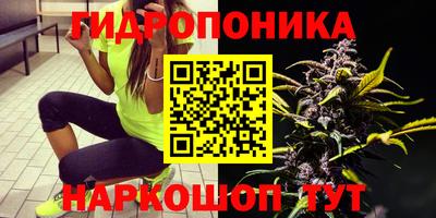 мдпв Жуковский